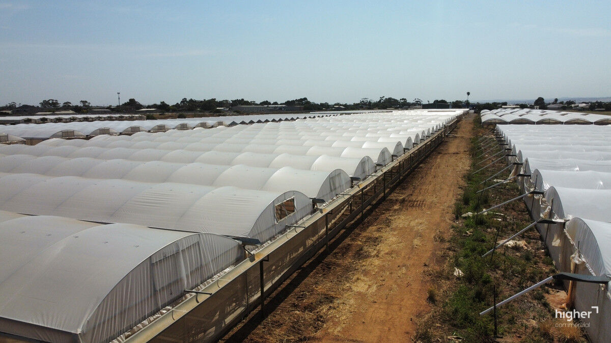 Fully-Equipped Agricultural Hot House Facility