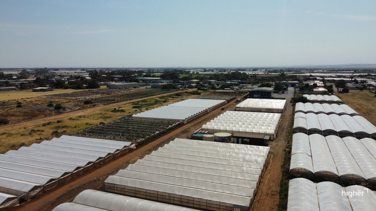 Fully-Equipped Agricultural Hot House Facility