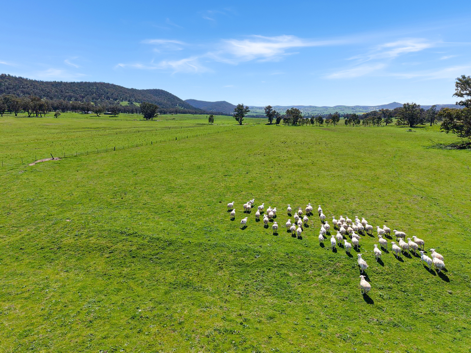 1,165 ACRE MIXED GRAZING & FARMING OPERATION