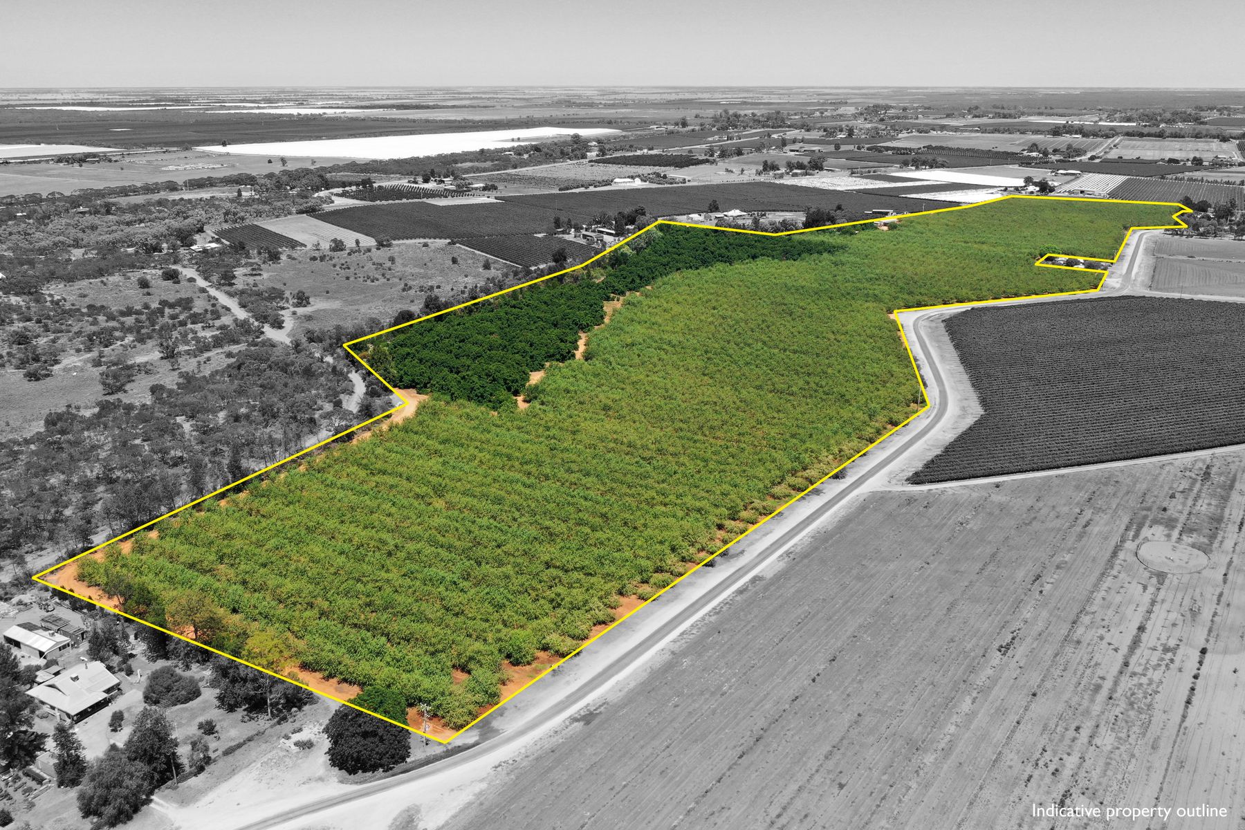 QUALITY ALMOND PROPERTY
