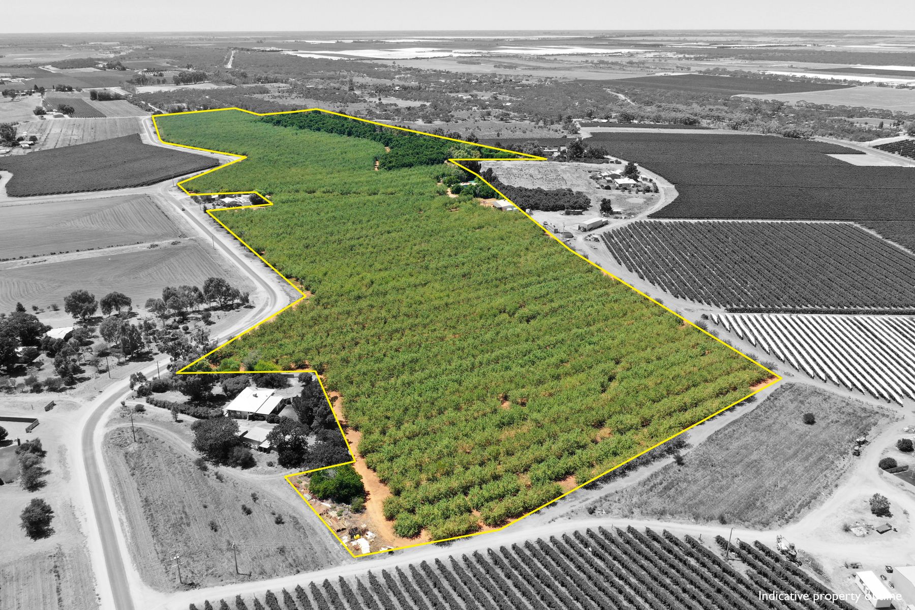 QUALITY ALMOND PROPERTY