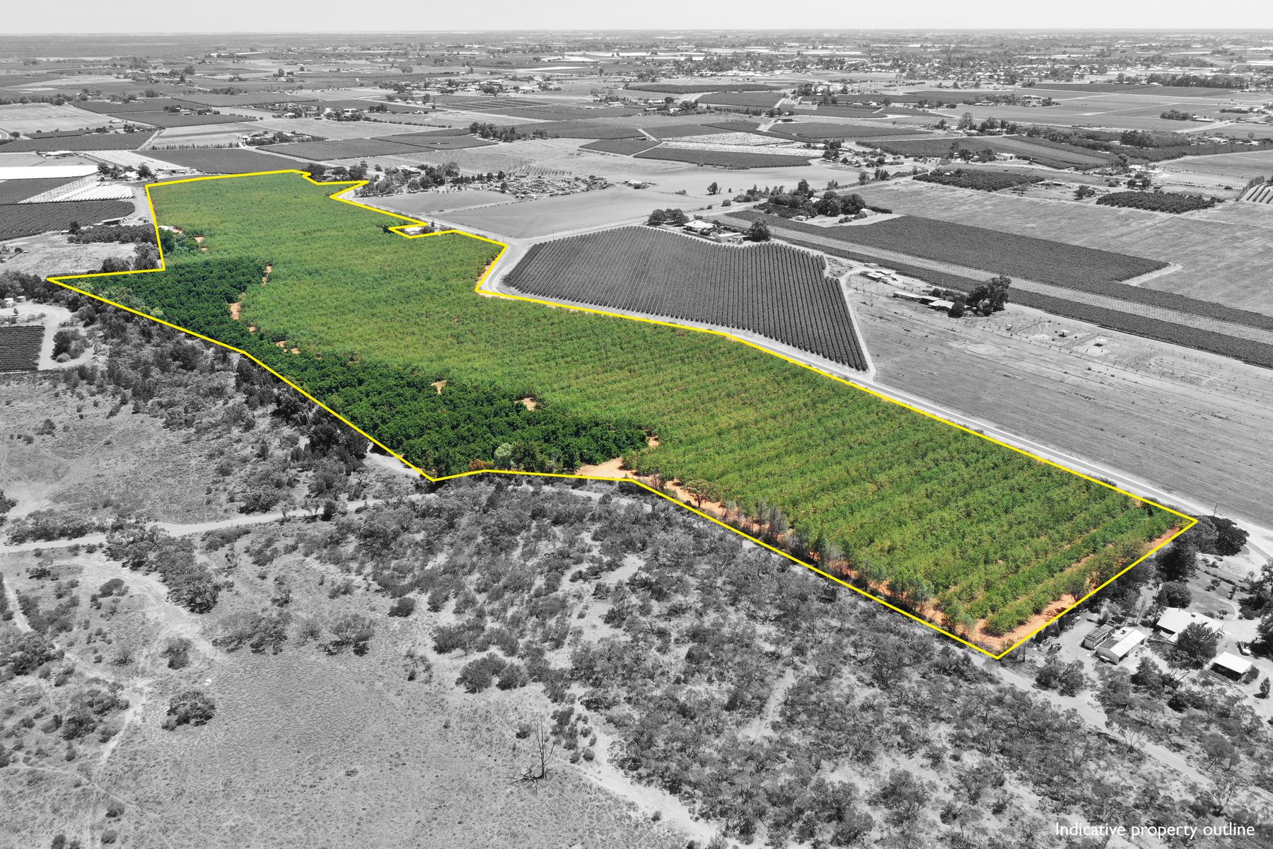 QUALITY ALMOND PROPERTY