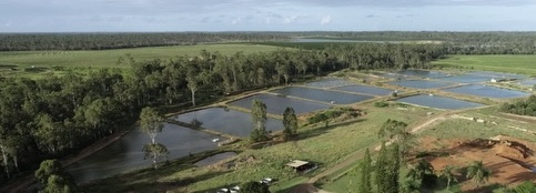 Commercial Opportunity With Income