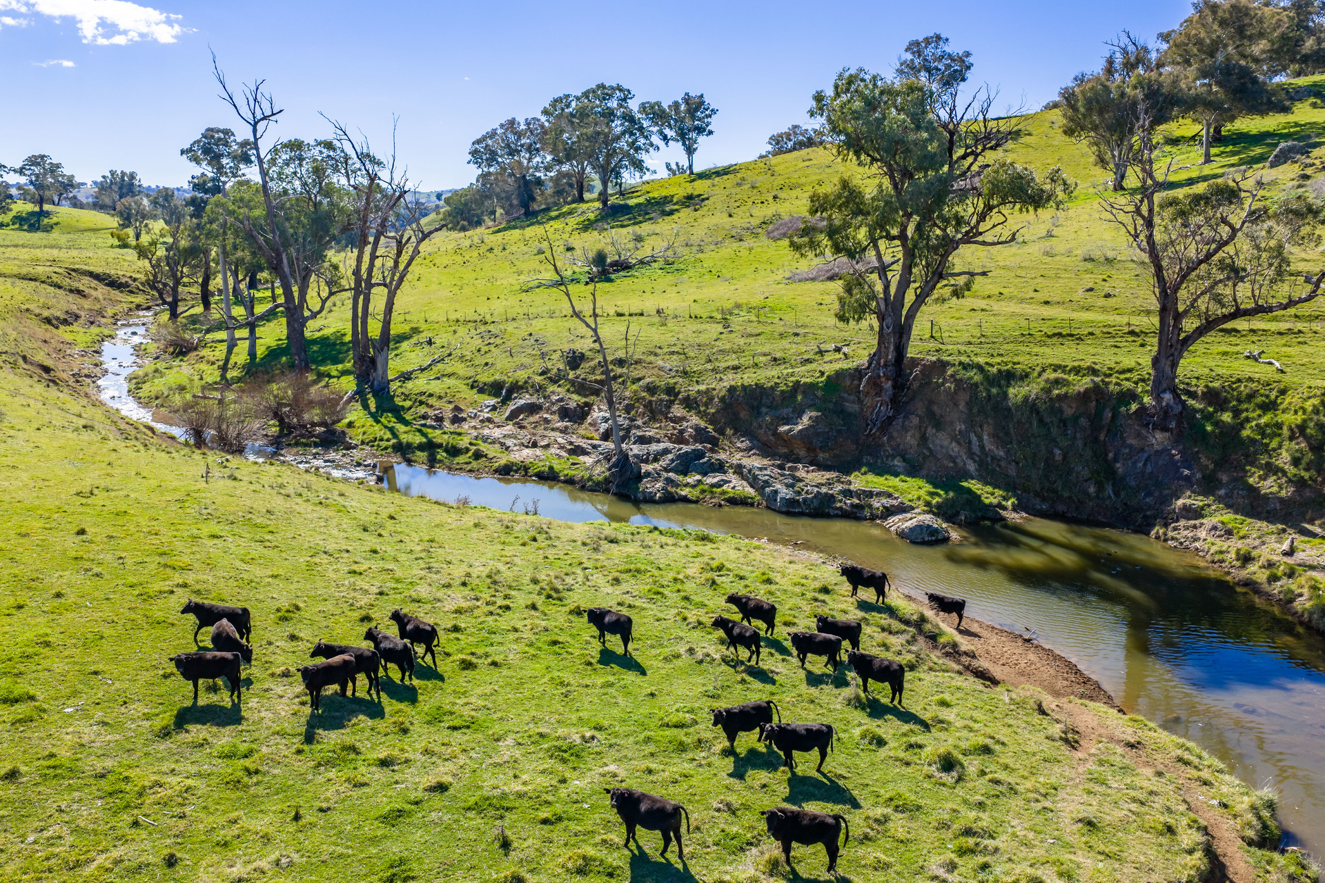BEAUTIFUL FAMILY HOME SET ON 267 ACRES OF HIGH QUALITY, CREEK FRONTAGE LAND!