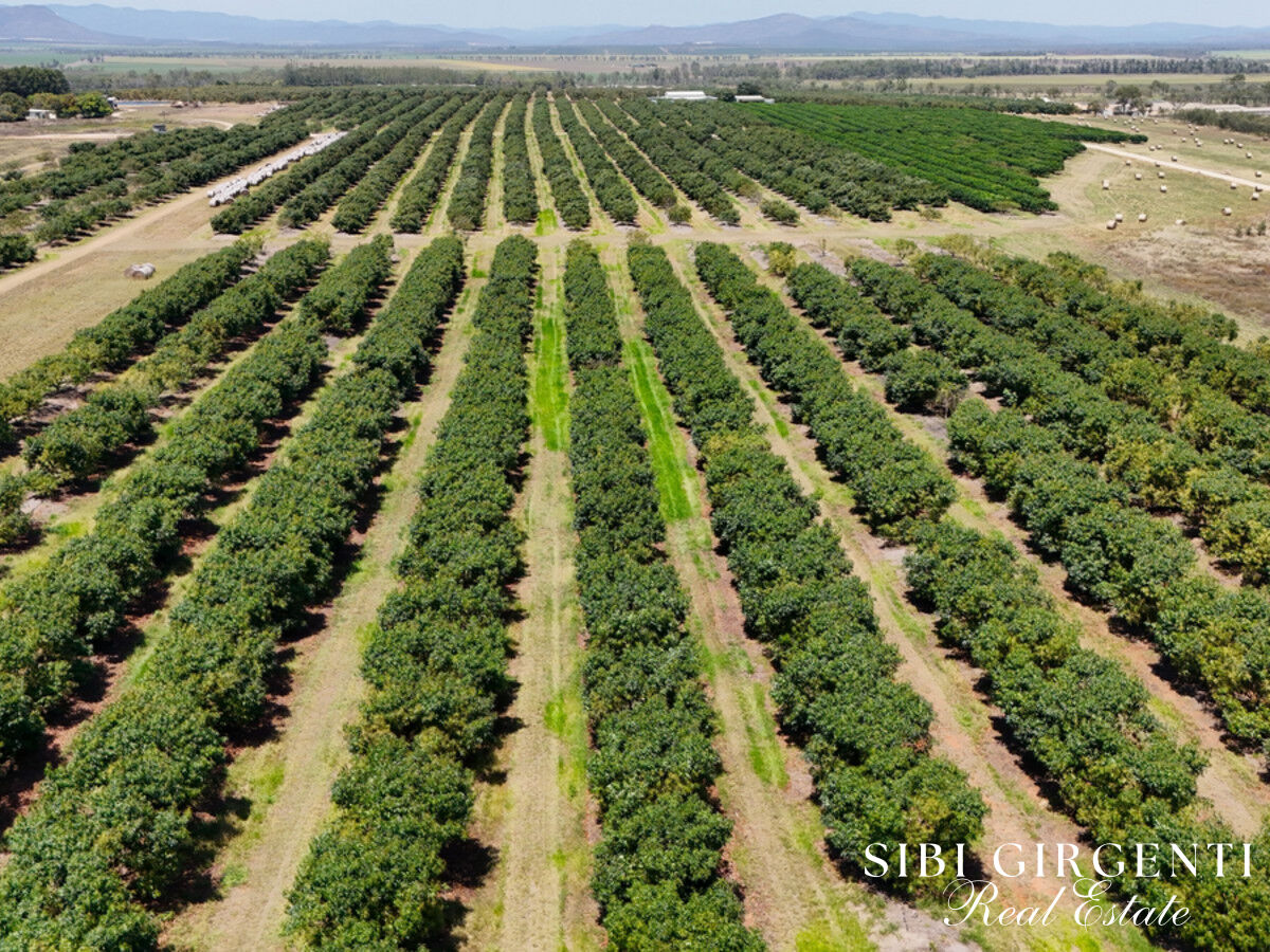 213Ha Horticultural Enterprise with Multiple Income Streams