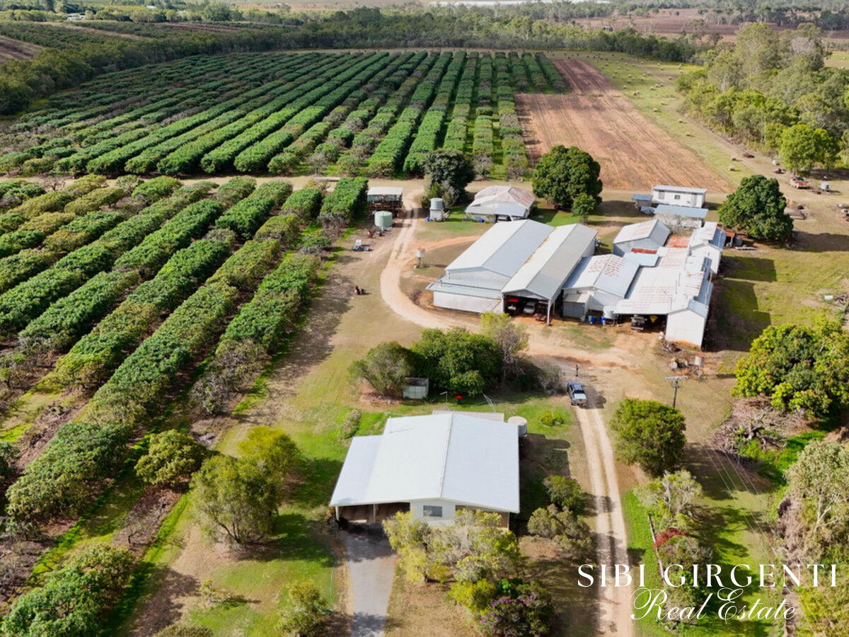 155 Acres of Prime Horticultural and Cropping in Sought-After Paddys Green