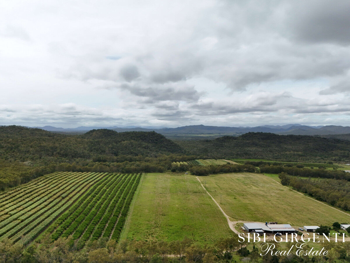 THRIVING DIMBULAH ORCHARD OPPORTUNITY