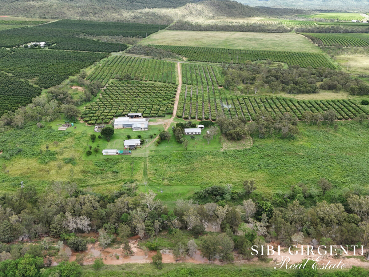 OPPORTUNITY TO EMBRACE A RURAL LIFESTYLE WHILE GENERATING INCOME