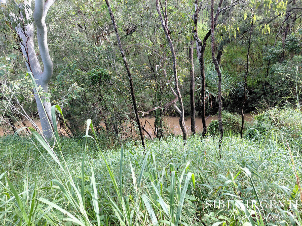Rare Creekfront Land  77.6 Acres on Beautiful Shanty Creek