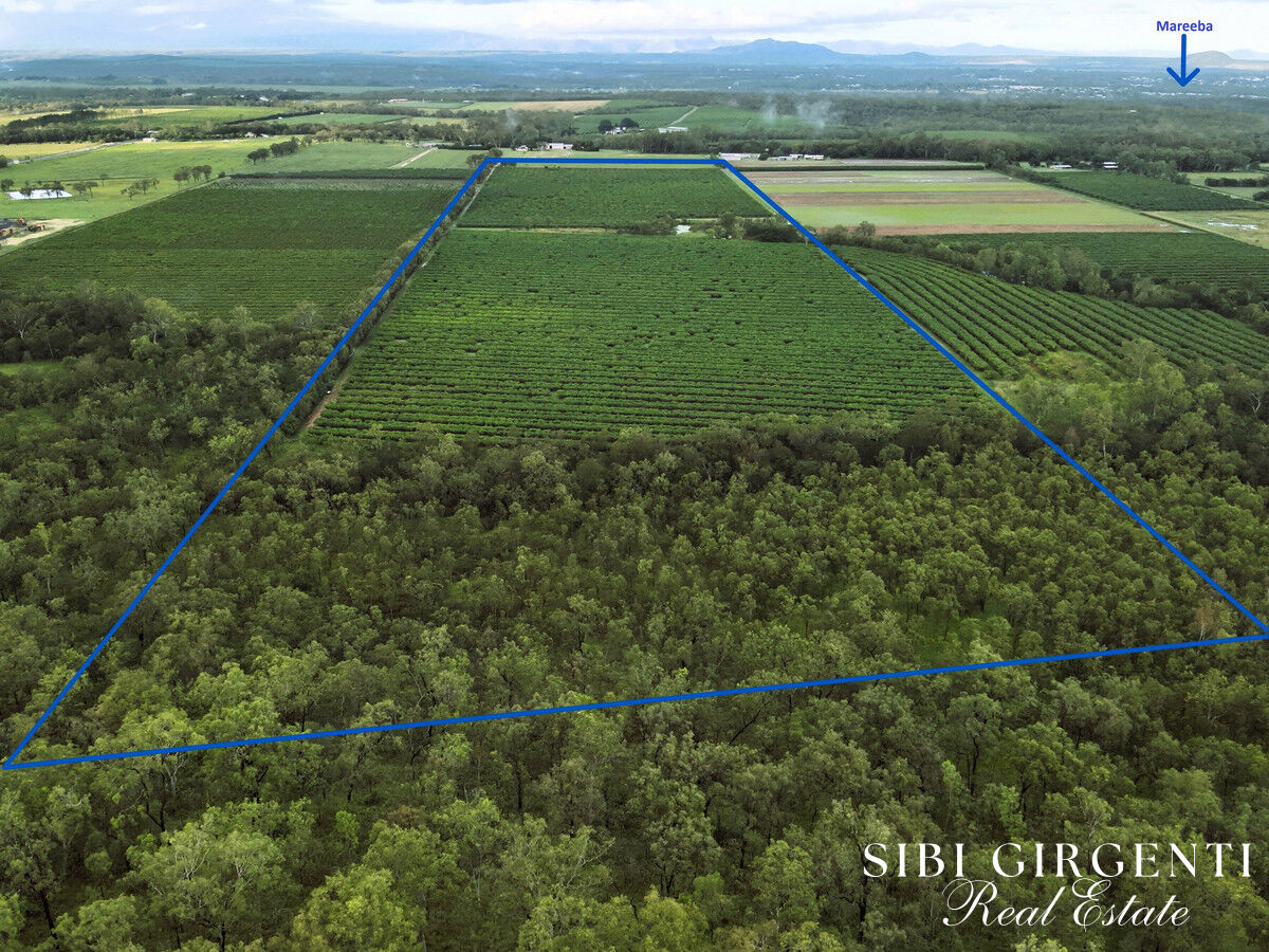 Rare Creekfront Land  77.6 Acres on Beautiful Shanty Creek