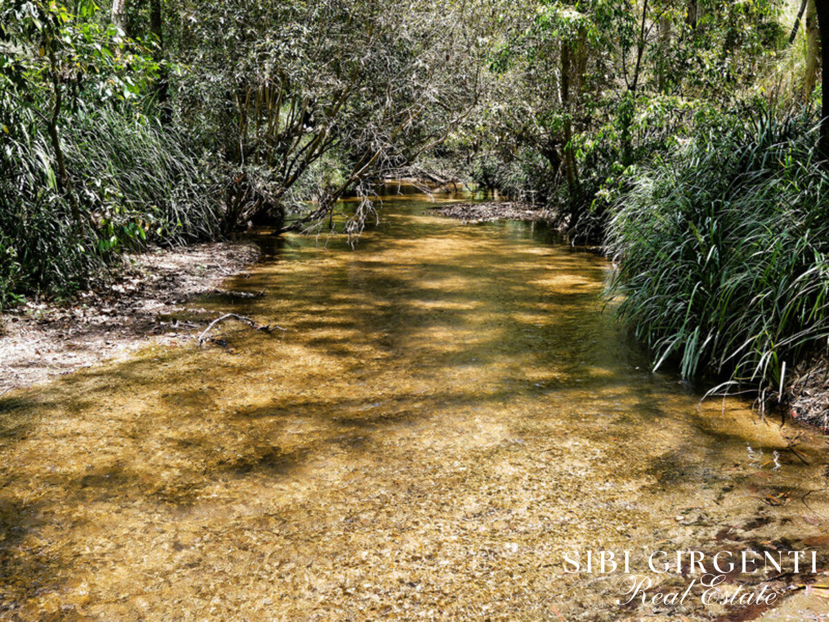 Rare Creekfront Land  77.6 Acres on Beautiful Shanty Creek
