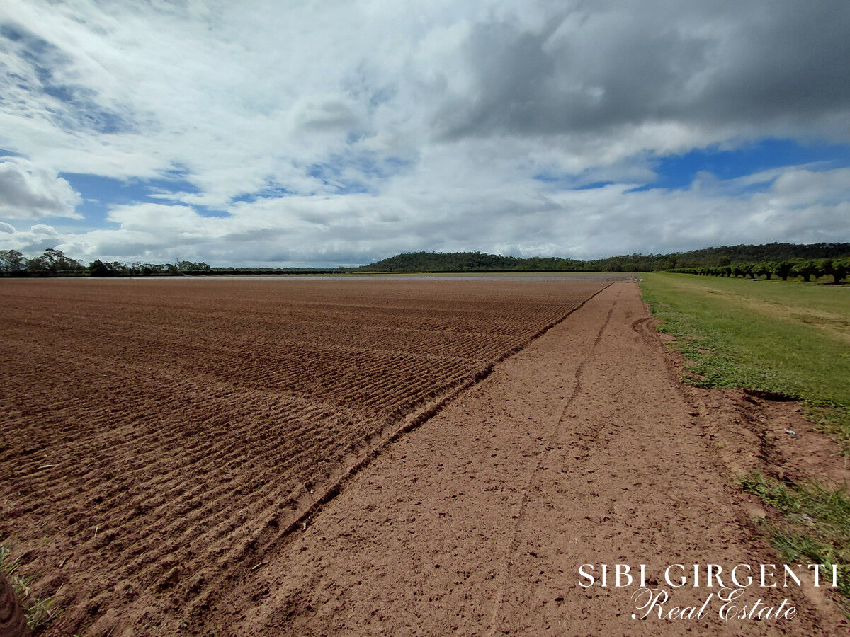 Once in a Lifetime Acreage  Creek, Orchard & Scale in Mareeba