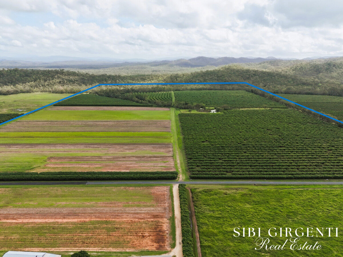 Once in a Lifetime Acreage  Creek, Orchard & Scale in Mareeba