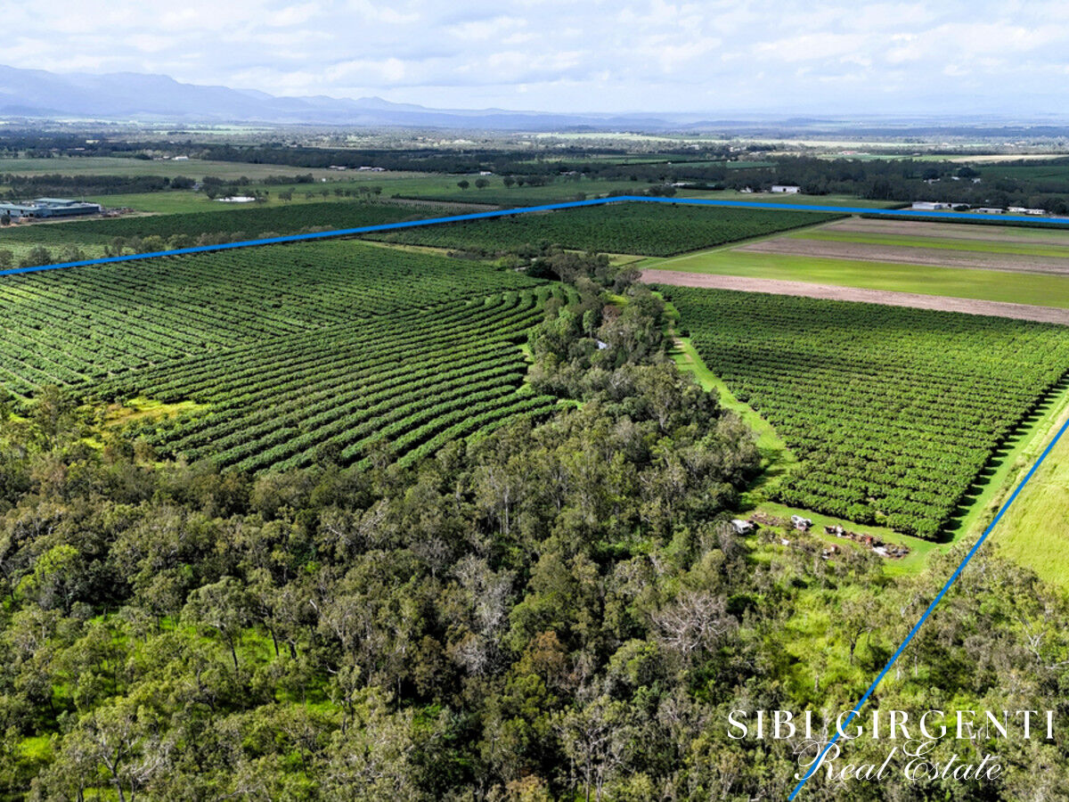 Once in a Lifetime Acreage  Creek, Orchard & Scale in Mareeba