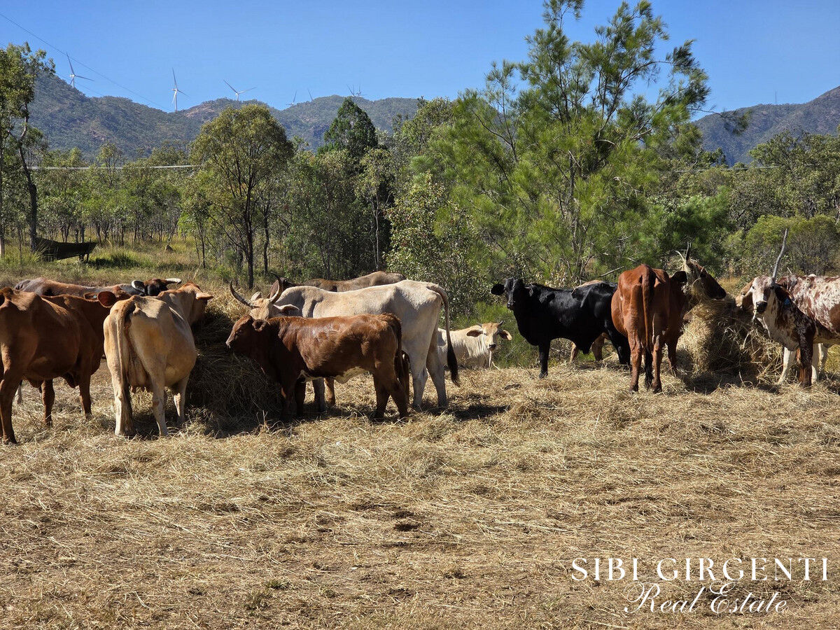 PRODUCTIVE RURAL HOLDING WITH HORTICULTURE, GRAZING & WATER SECURITY