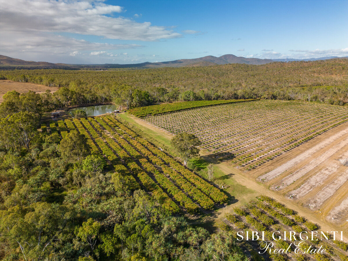 Productive Horticultural Estate with Modern Home, Water Security & Secure Income