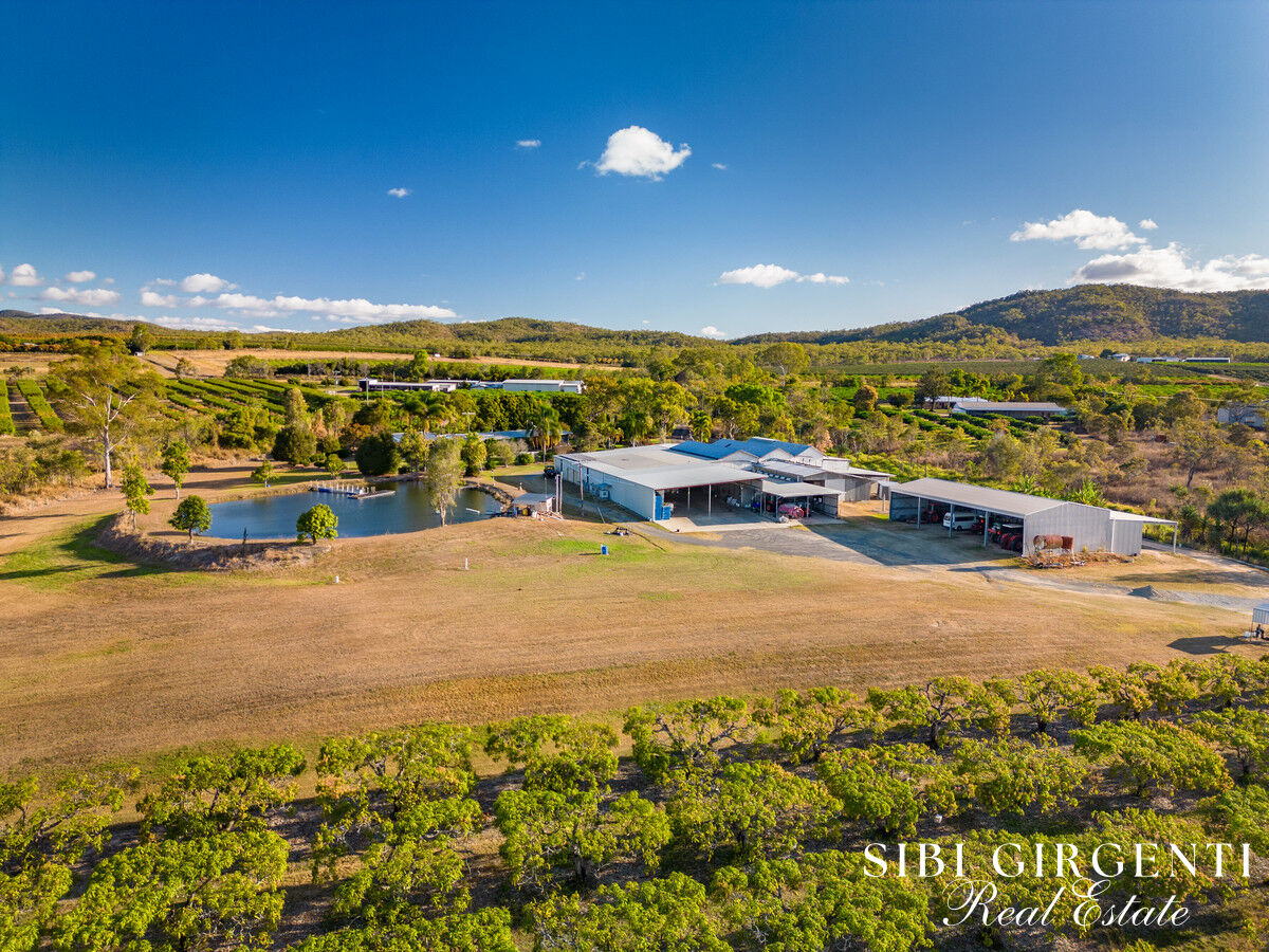 Productive Horticultural Estate with Modern Home, Water Security & Secure Income