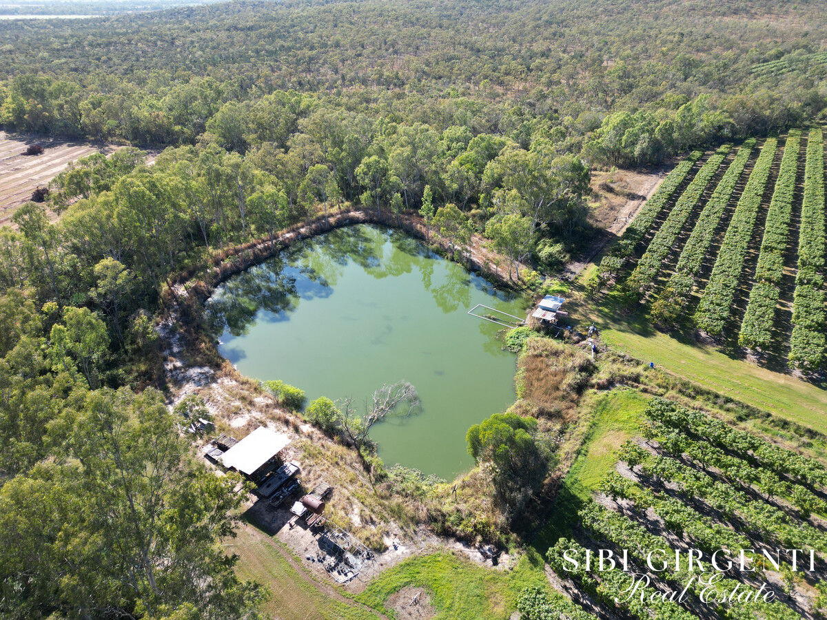 Productive Horticultural Estate with Modern Home, Water Security & Secure Income