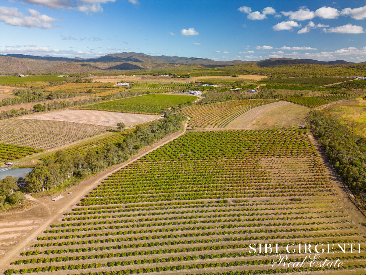 Productive Horticultural Estate with Modern Home, Water Security & Secure Income