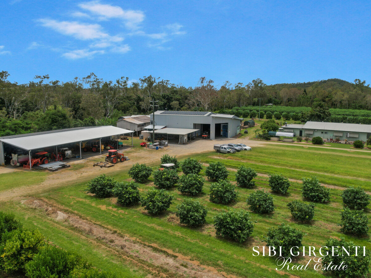 A Rare Blend of Horticultural Excellence and Country Living