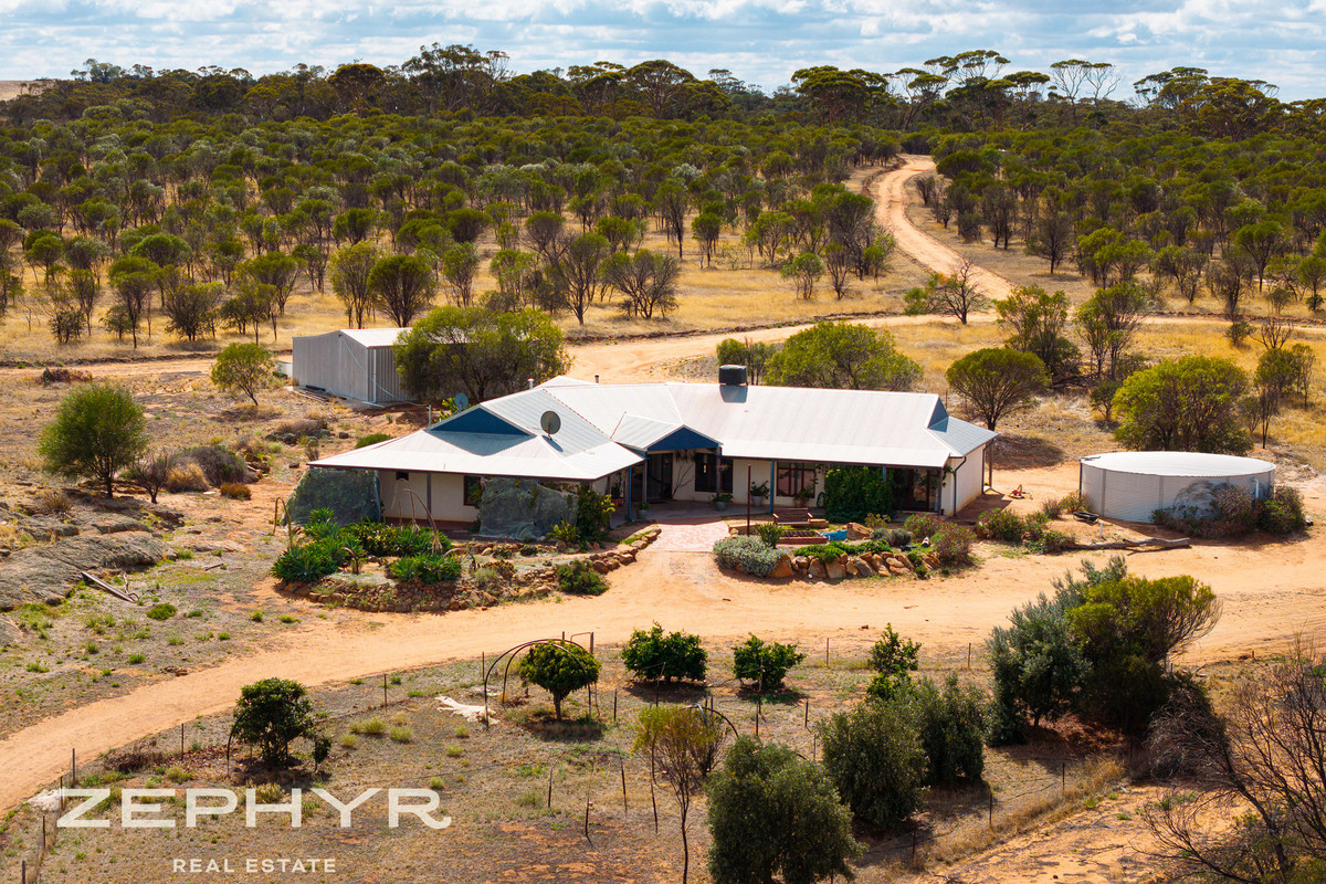 Off-Grid Living in a Sandalwood Sanctuary - Cramphorne/Narambeen