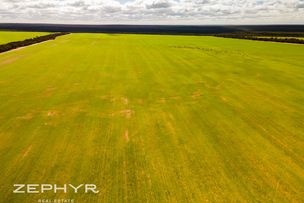 WELL ESTABLISHED CROPPING & SHEEP PROPERTY
