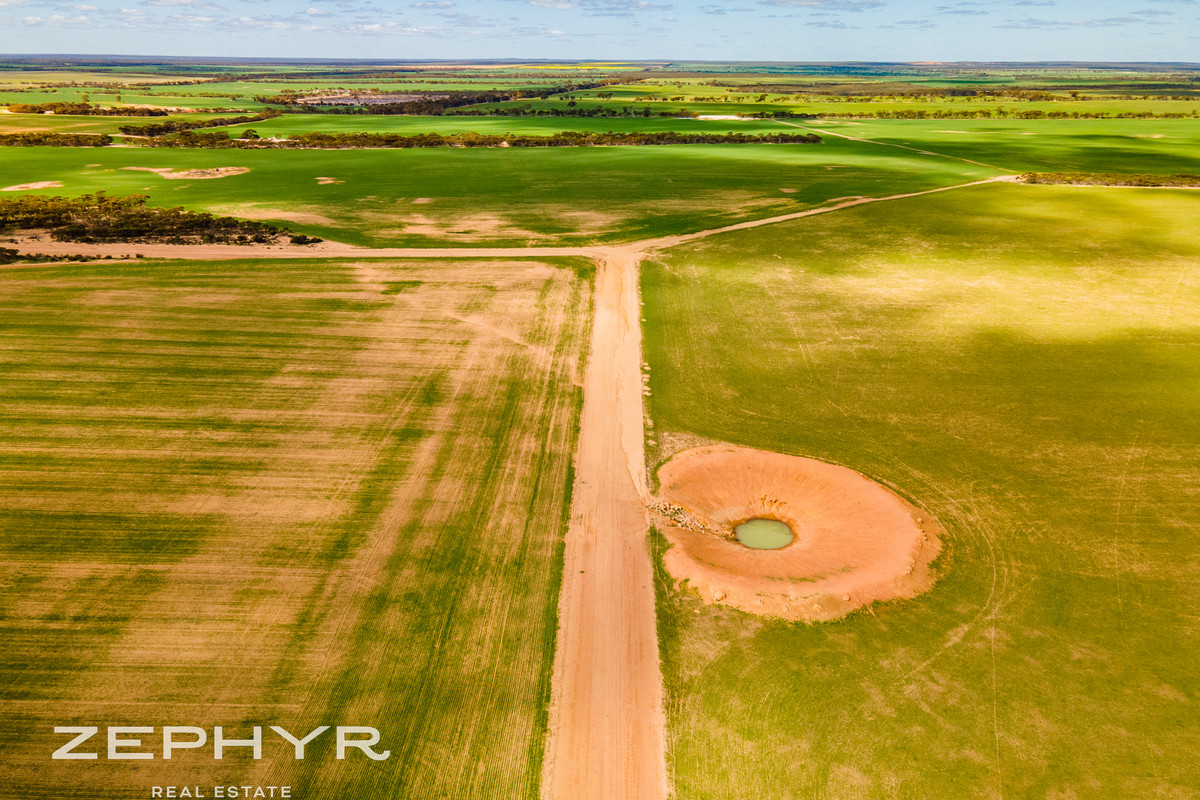 WELL ESTABLISHED CROPPING & SHEEP PROPERTY