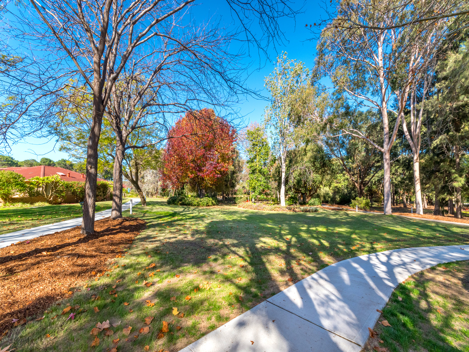 Collier Park Village1 Como EX 8