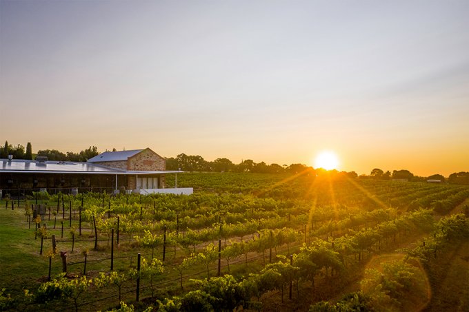 Angove Mc Laren Vale Cellar Door