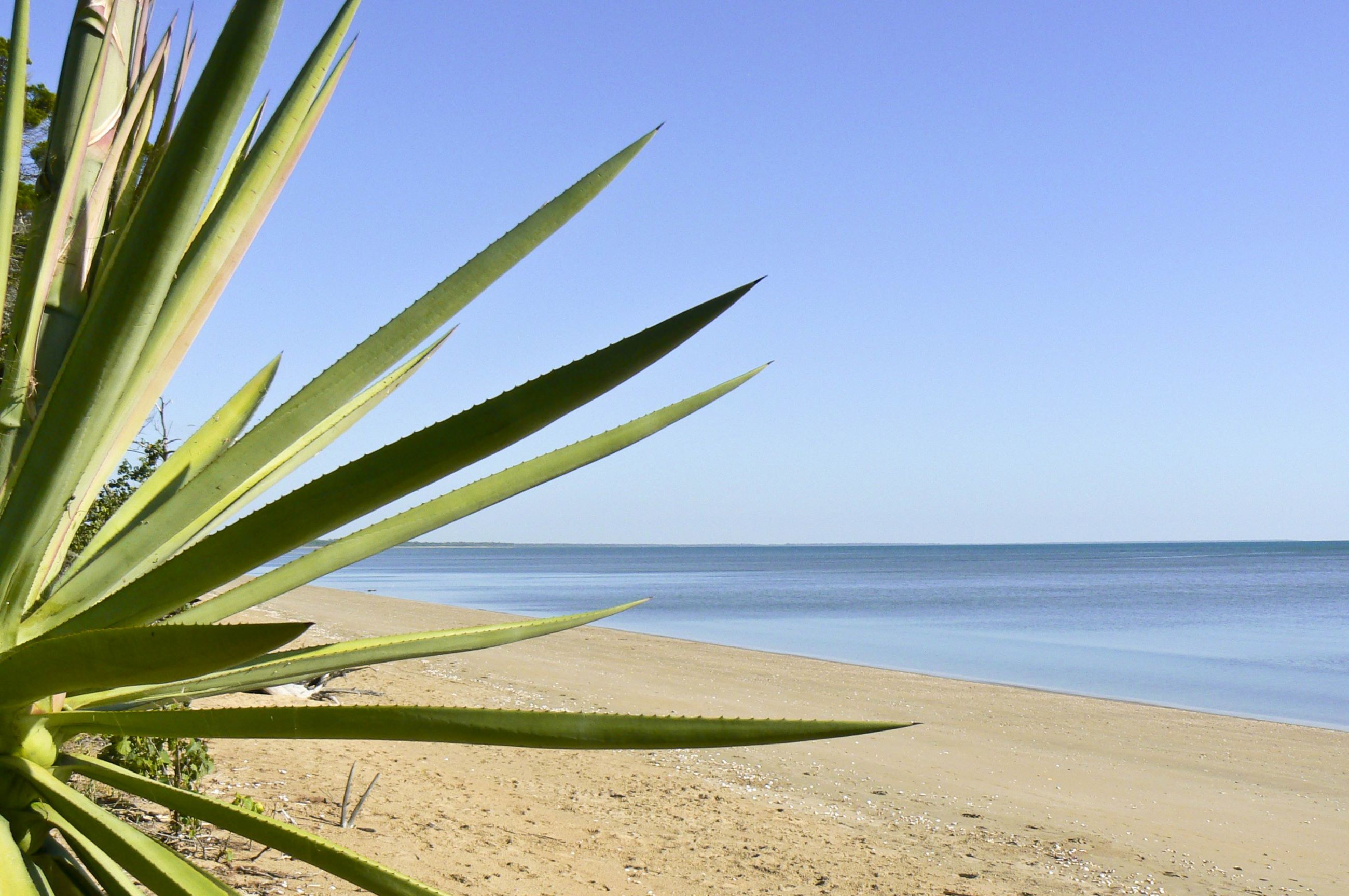 Full width banner image