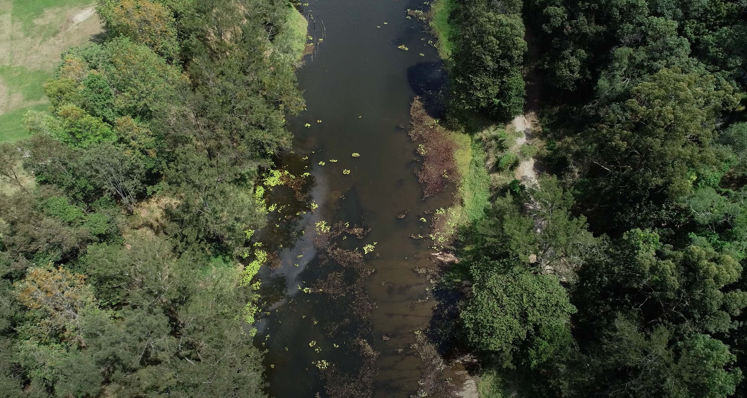 Full width banner image