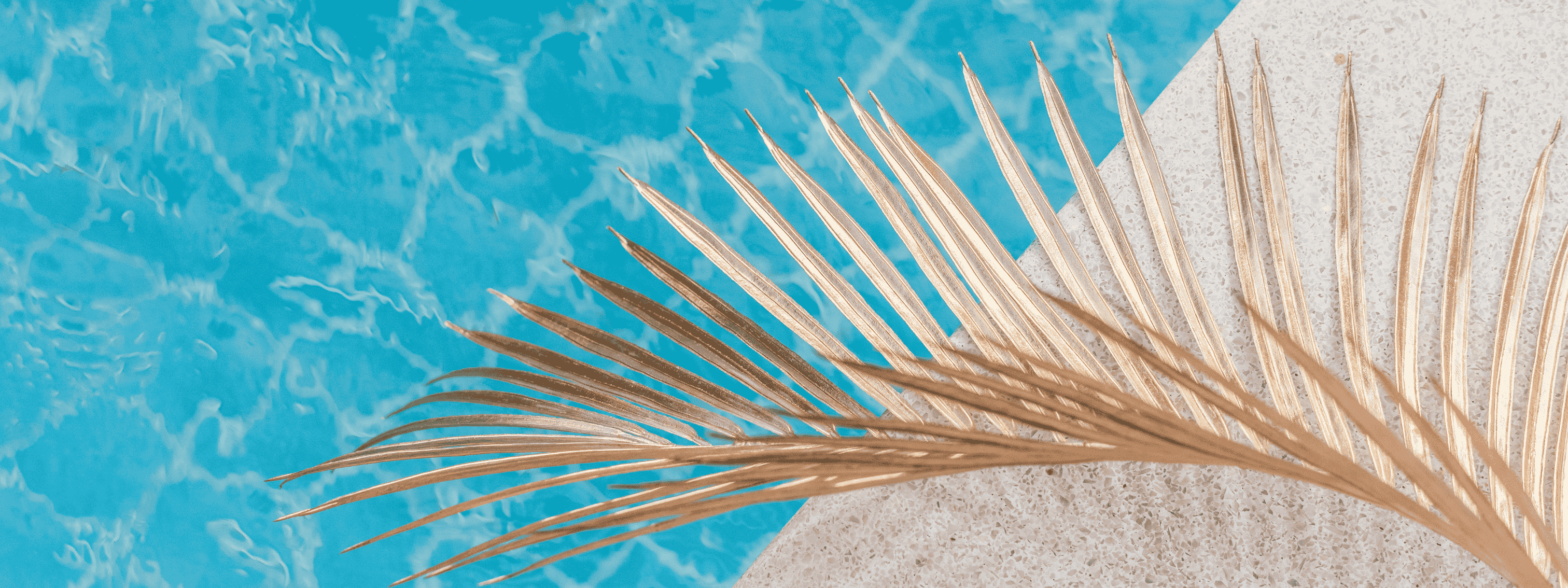 Full width project banner image