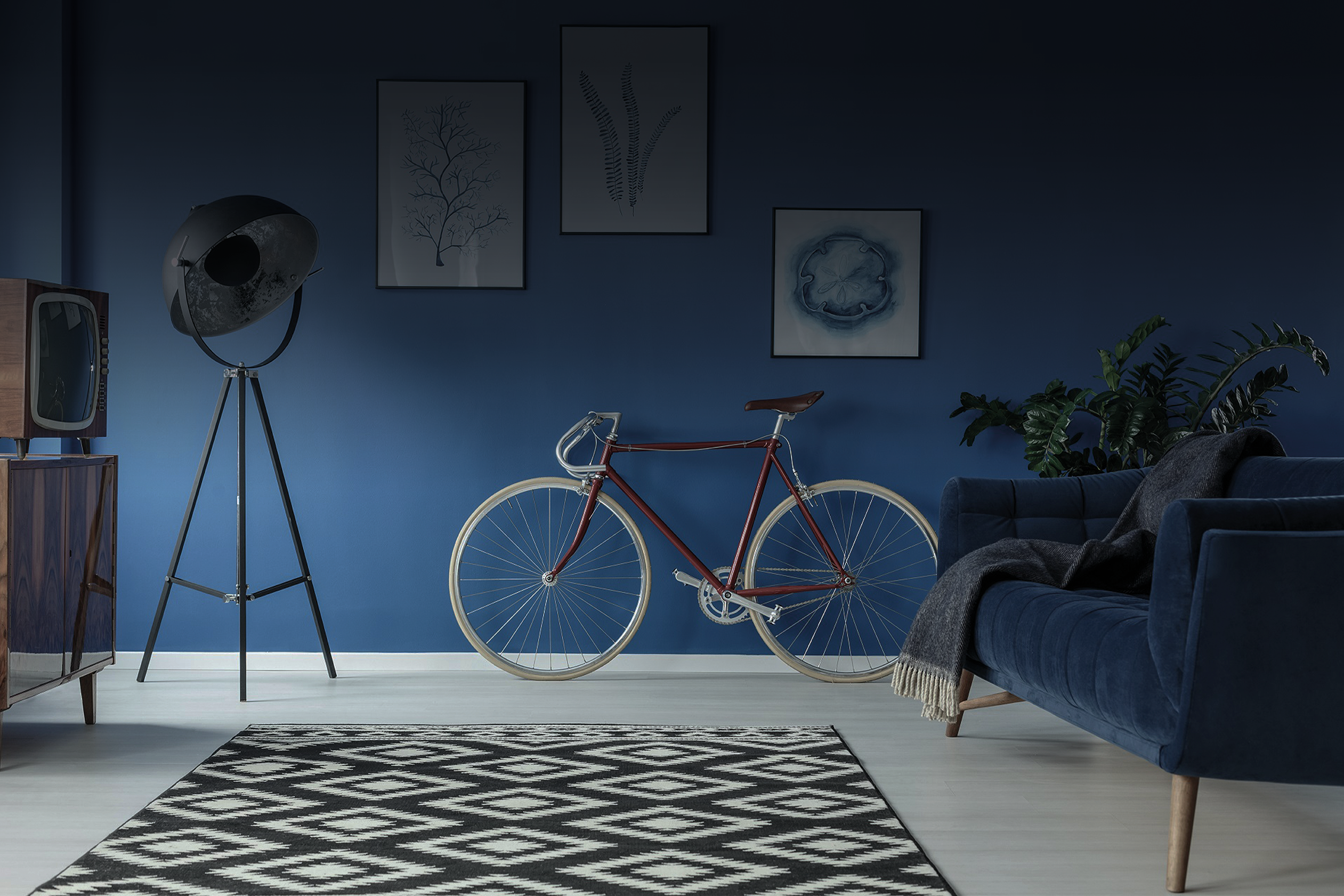 Full width banner image