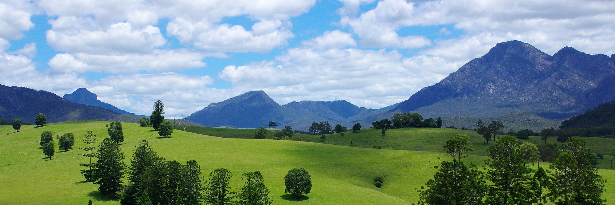 Full width project banner image