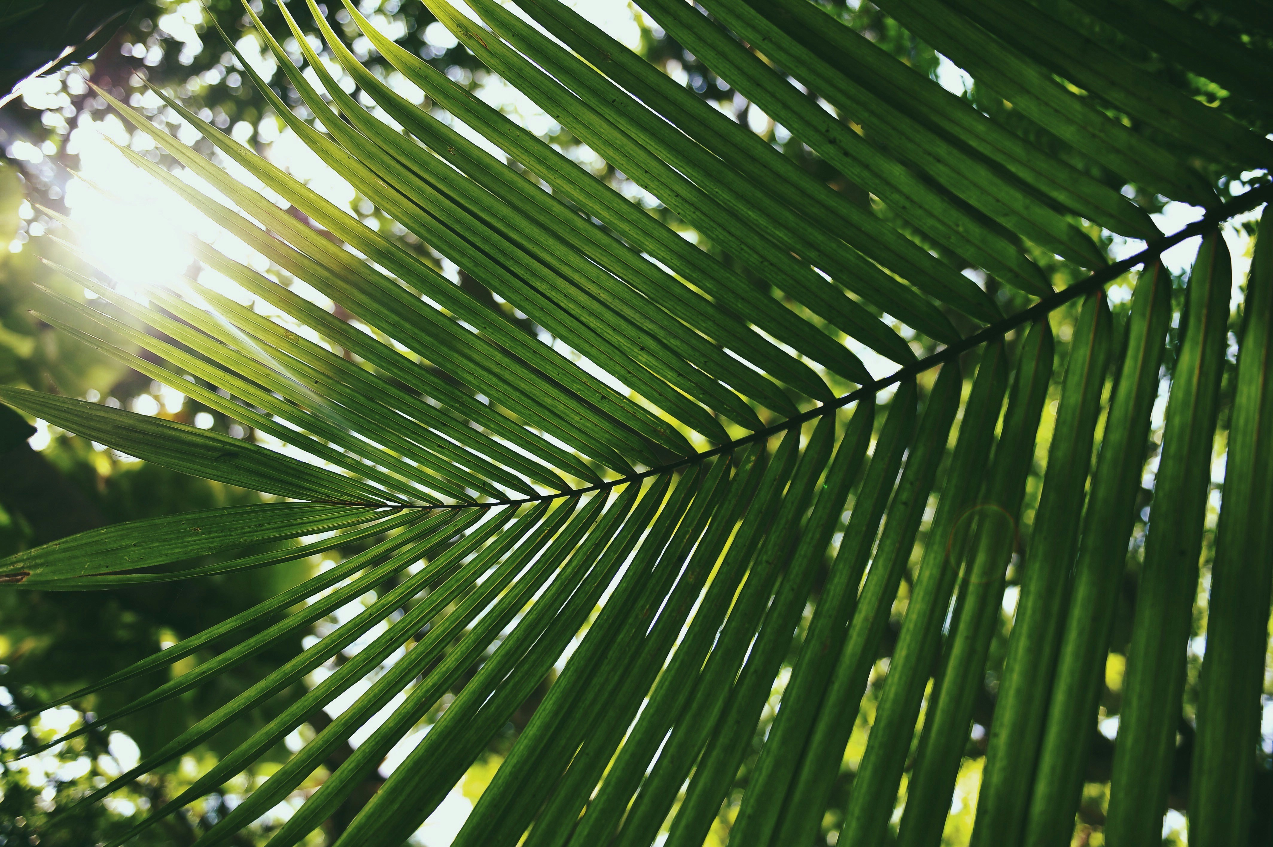Full width project banner image