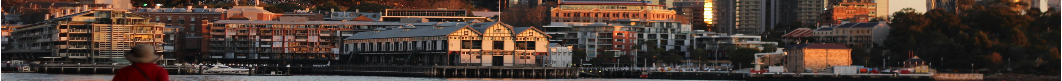 Full width project banner image