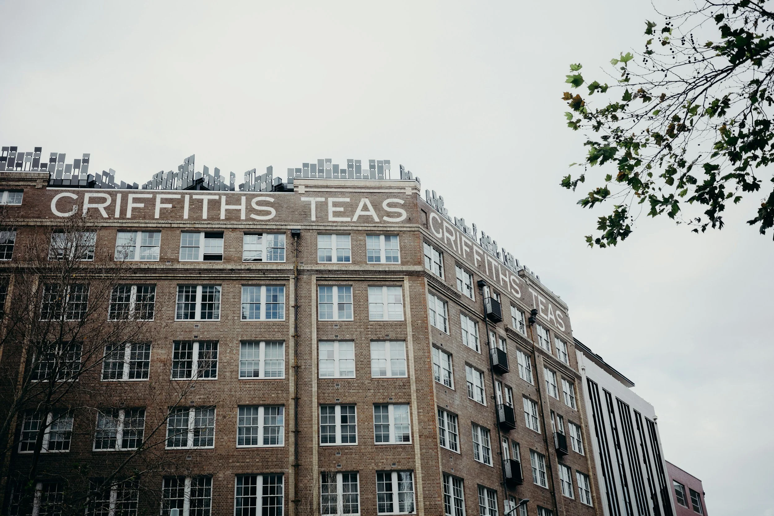 Image related to text in section