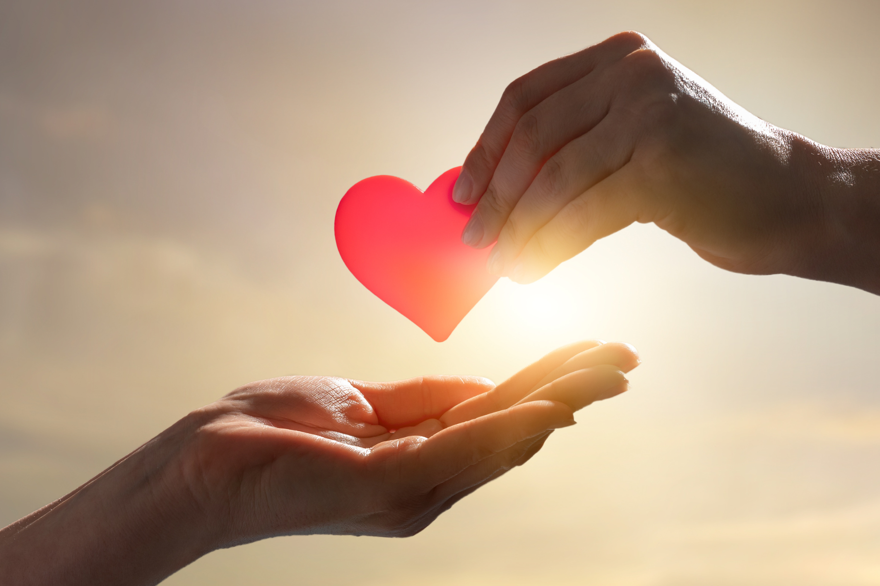 Image related to text in section