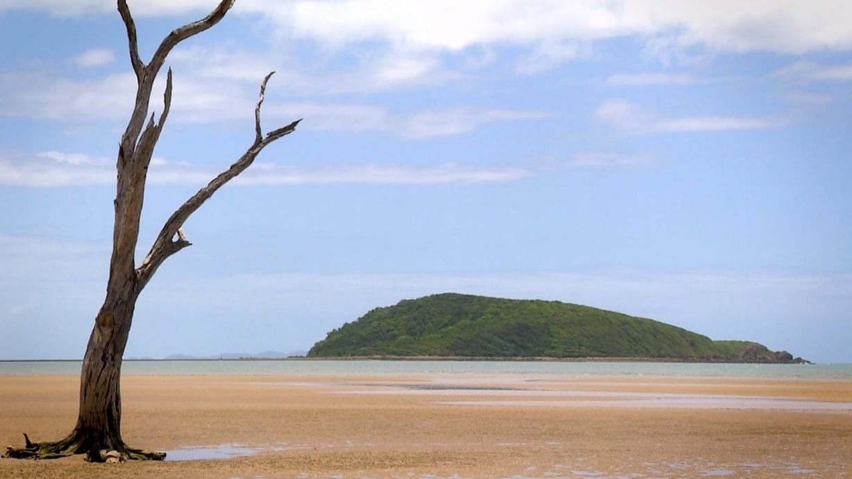 Full width project banner image