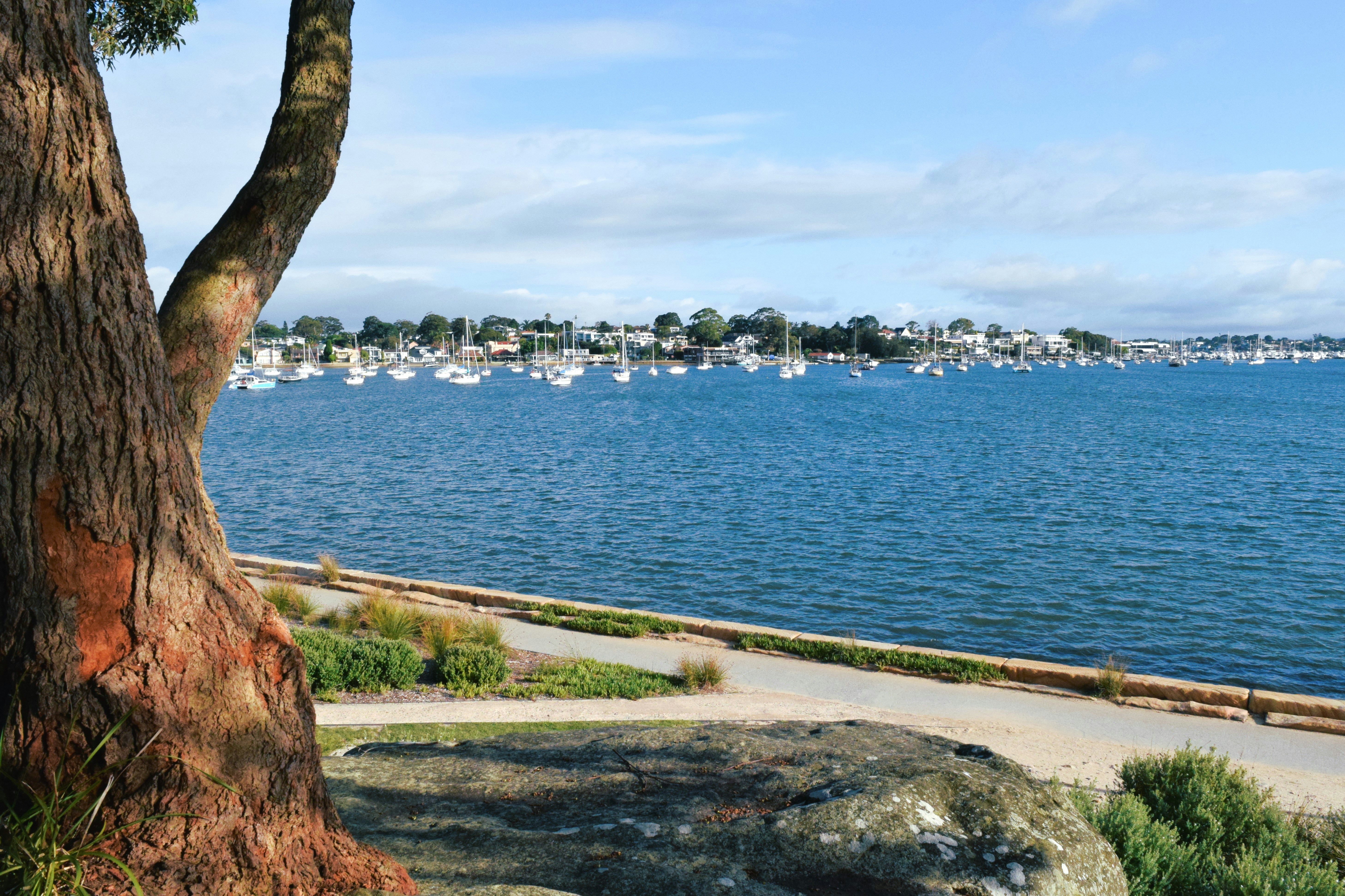 Full width banner image