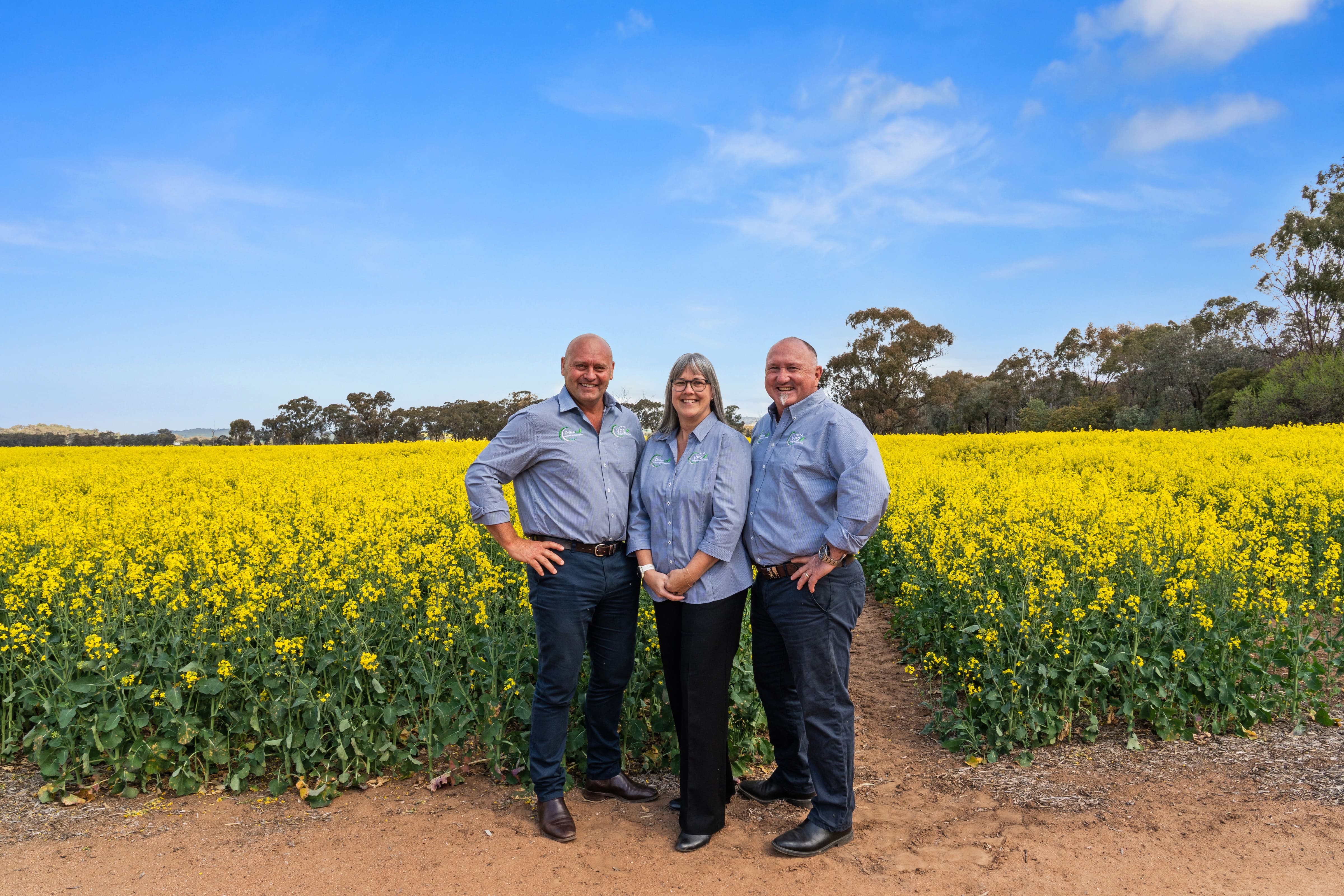 Full width project banner image