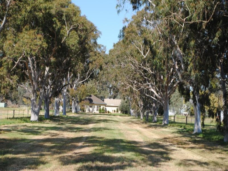 Full width banner image