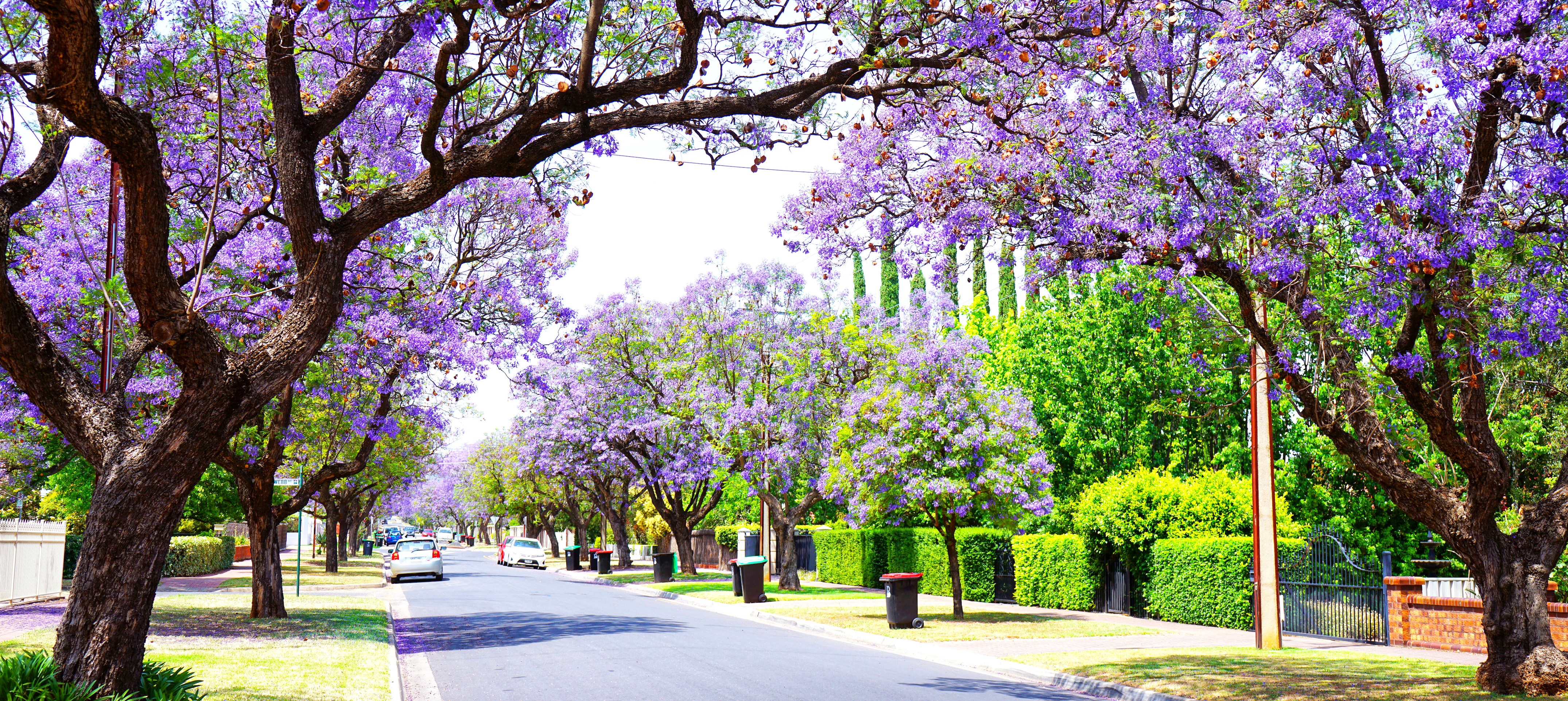 Full width project banner image