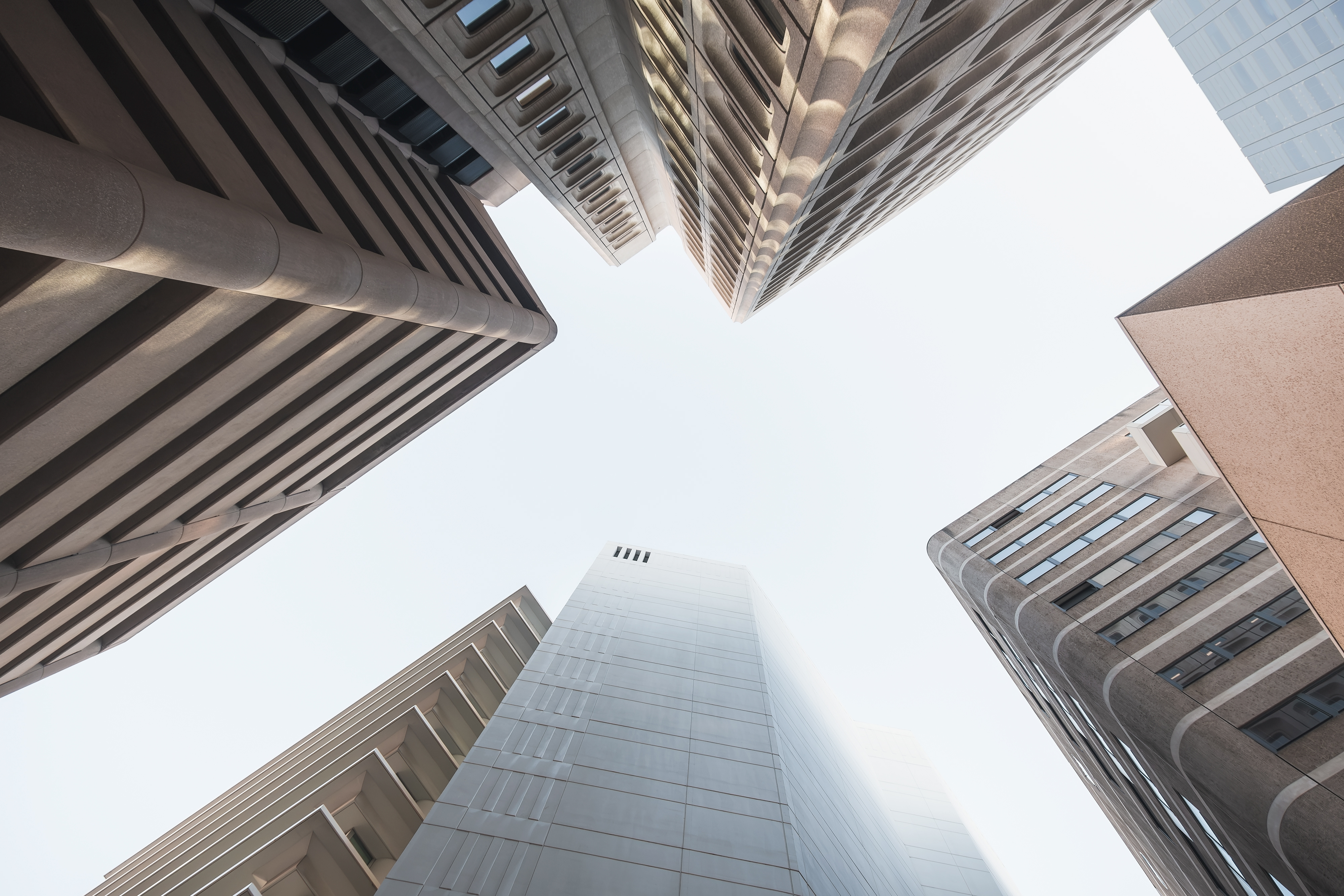 Image related to text in section