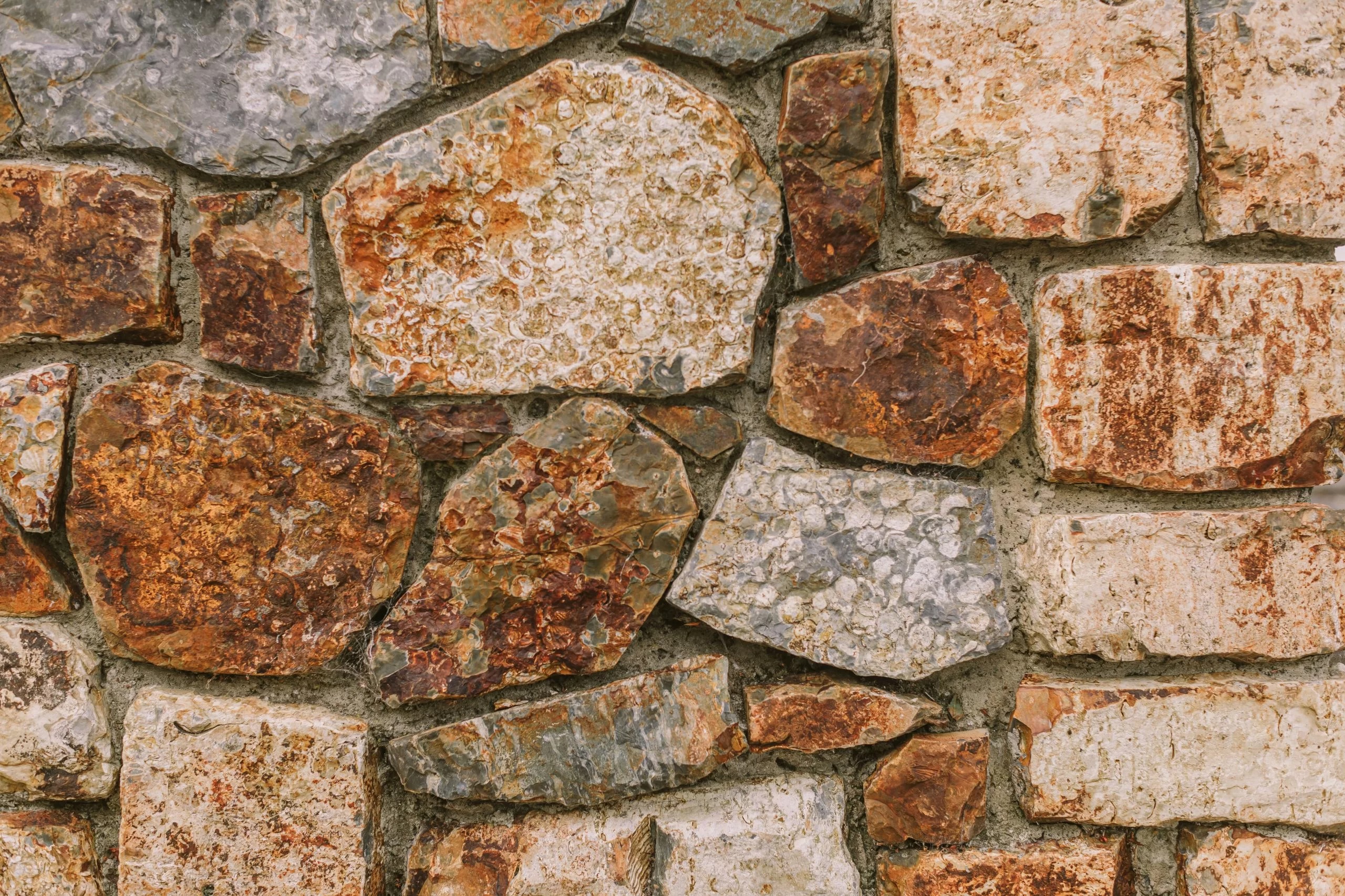 Full width project banner image