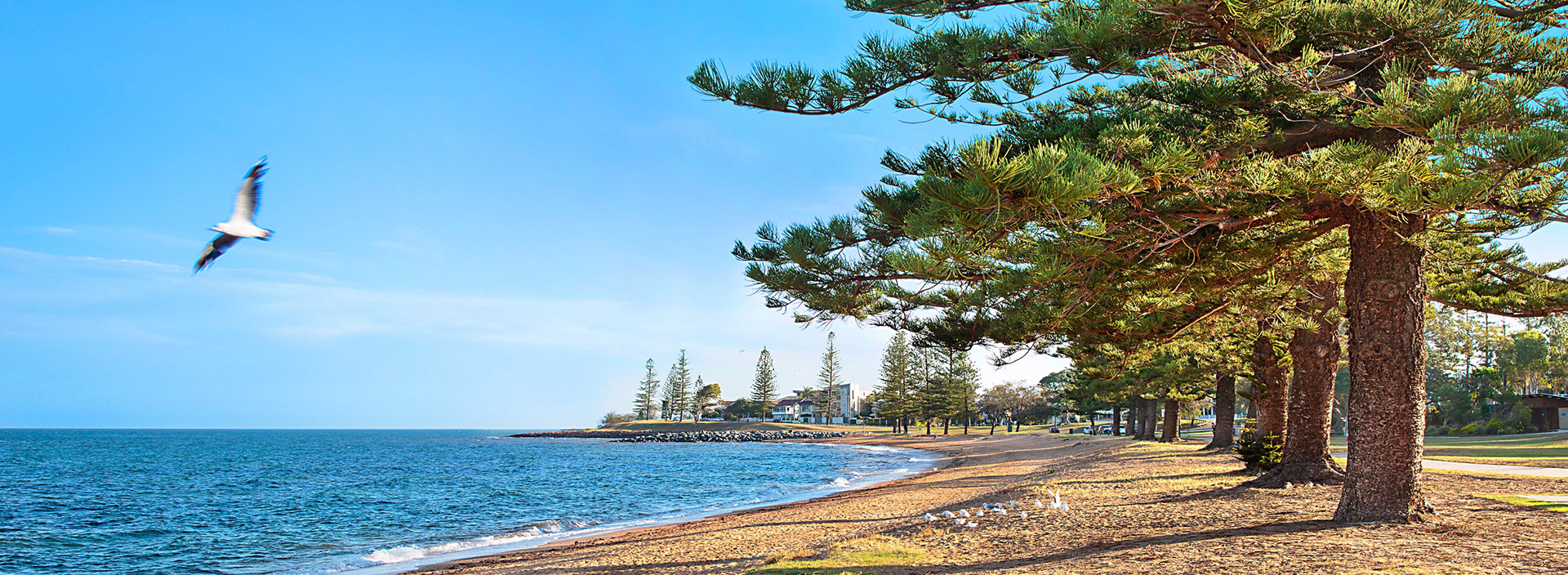 Full width project banner image