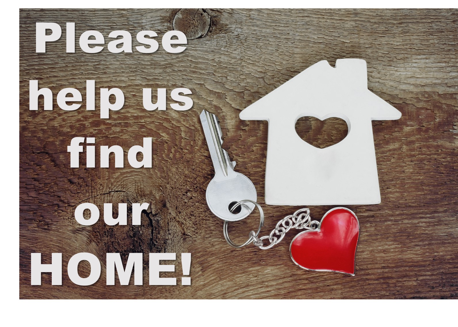 Blog post card image