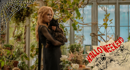 Image for Practical Magic 2
