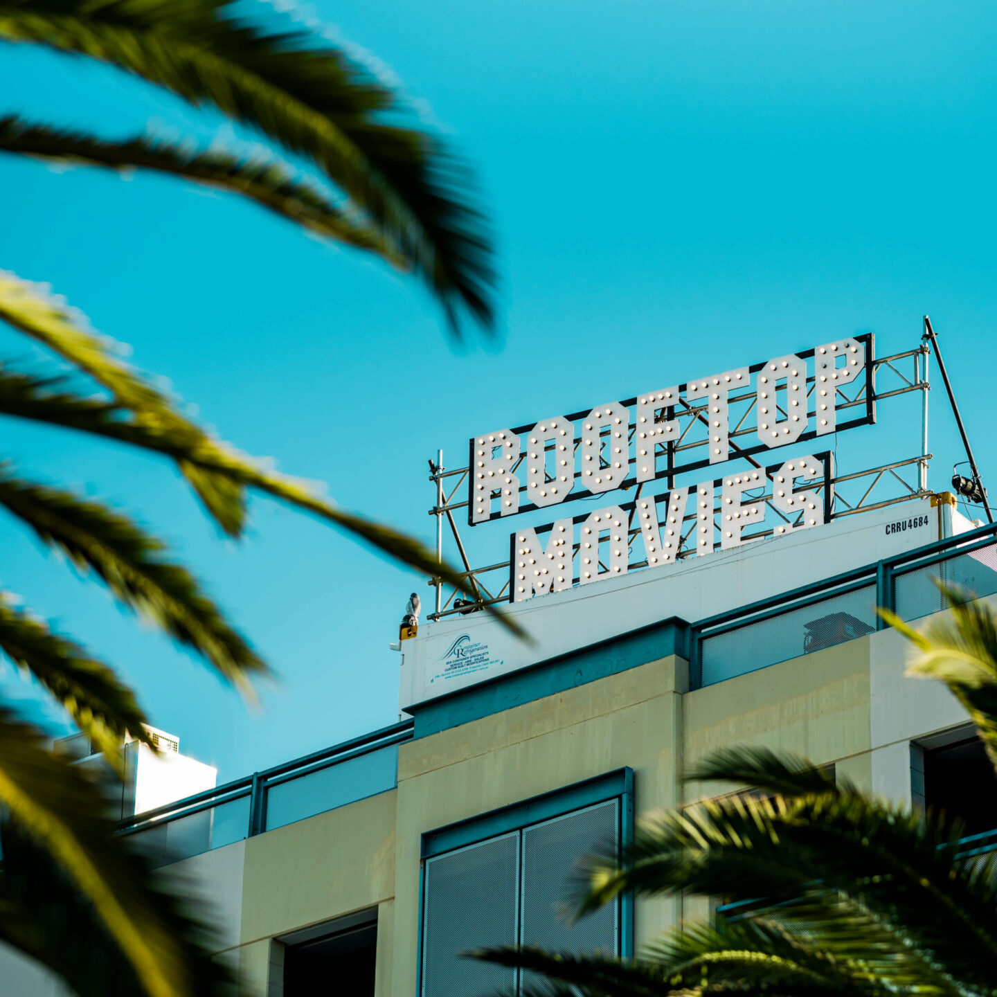 Rooftop Movies Vegetation Blue Sky 2
