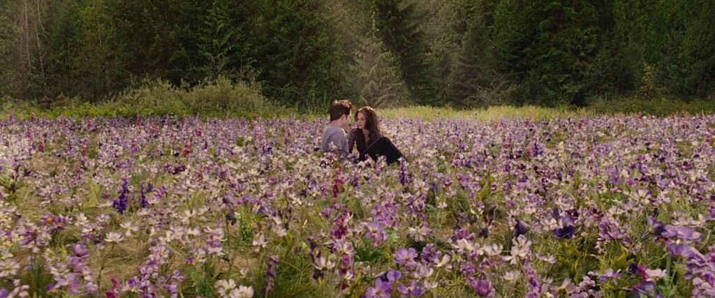Twilight BD pt2 1